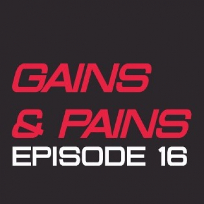 Gains  Pains