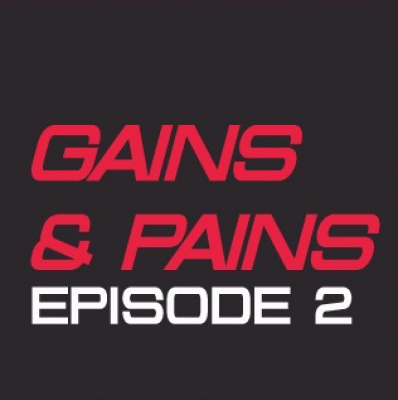 Gains  Pains