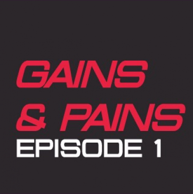 Gains  Pains