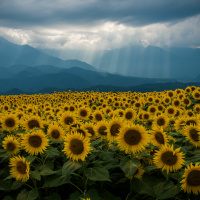 Haamusärkyä ja uhkapuhetta – millaisia tarinoita Venäjän johto kertoo? | Katri Pynnöniemi
