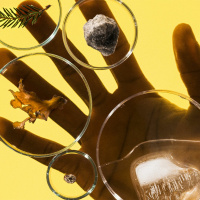 Takaisin luontoon – Kuinka ajattelumme pitää muuttua, jotta ratkaisemme ympäristökriisit?