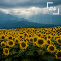 Miksi Puola ja Unkari suhtautuvat Venäjän hyökkäyssotaan eri tavoin? | Katalin Miklóssy