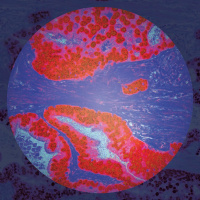 Rajaton terveys – Kuinka ihmisten, eläinten ja ympäristön terveys kietoutuvat yhteen?