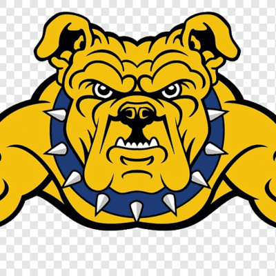 Sports Podcasts - Powered By Sportscarolinamonthly.com