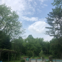 grief mindfulness daughter/father