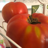 Stop making poor food choices and excuses