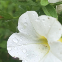 Respect -more important than love- Michele Paiva