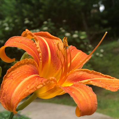 Skin, Soul  Psyche By Paiva