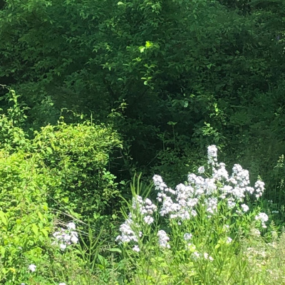 Skin, Soul  Psyche By Paiva