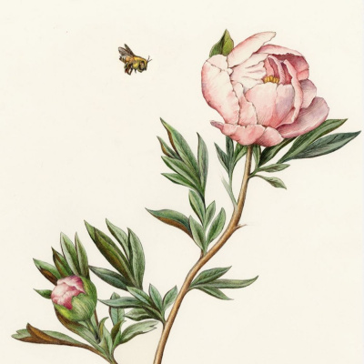 Skin, Soul  Psyche By Paiva