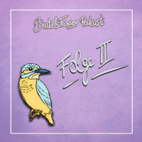 Birds  Foxes - Folge 3 - Work-Life-Balance