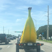 Episode 800 Check Out My Banana.......Car