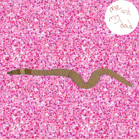 1. Money/Nature/Worm