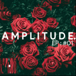 Amplitude.