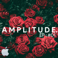 Amplitude.
