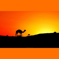 S1 Ep4: F1 - Big in Bahrain