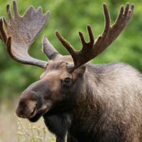 Noobs Unite Ep1: 1,2 and Devon