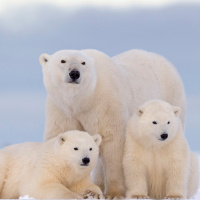 Noobs Unite Ep6: The cool crew