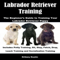 Labrador Retriever Training: The Beginners Guide to Training Your Labrador Retriever Puppy: Includes Potty Training, Sit, Stay, Fetch, Drop, Leash Training and Socialization Training Audiobook