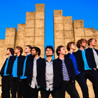 Jungle by Night en het feest van de muziek