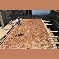 Cadmium, Cocoa  the Côte dIvoire: The Trade Dispute Eight Years in the Making