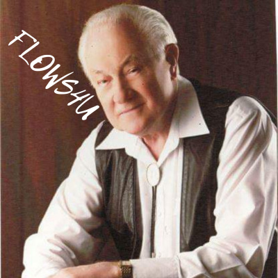 Flows4u Freestyle Advice