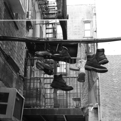 Lamerica È Un Paese Da Svaligiare