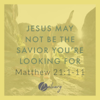 Jesus May Not Be The Savior Youre Looking For | Matthew 21:1 - 11
