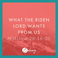 What The Risen Lord Wants From Us | Matthew 28 16 - 20