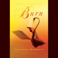Burn Audiobook