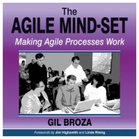 Agile Mind-Set: Making Agile Processes Work Audiobook