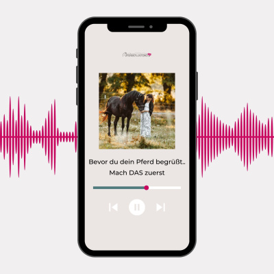 Pferdeflüsterei To Go! Für Pferdemenschen Mit Herz