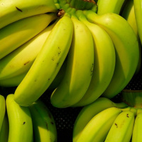 22-8: ¿Qué está sucediendo en Limón?