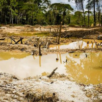 22-4: Crucitas: tierra de nadie.