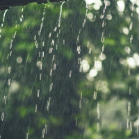 12-6: Más de 250 incidentes por lluvias han afectado el territorio nacional en los últimos días.