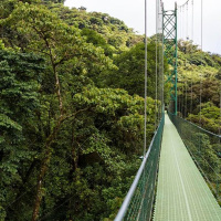 19-11: Estado de la Nación: capítulo ambiental.