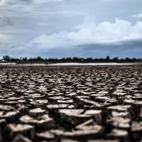 12-7: El cambio climático: la mayor amenaza para la humanidad.