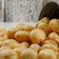 20-8: Familias productoras en crisis.