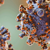 20-8: Sin bajar la guardia: alertas de salud pública.