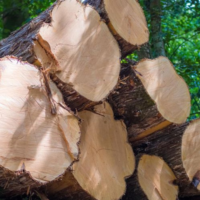 Hablando Claro Con Vilma Ibarra