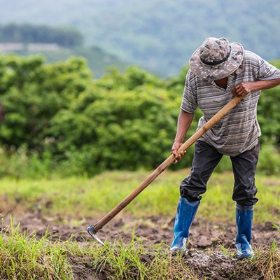 Hablando Claro Con Vilma Ibarra