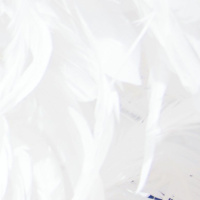 Deep Cleansing, New Moon/Eclipse Meditation