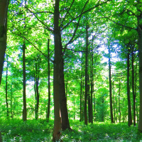 Grounding  Self Care...Let’s Just Meditate