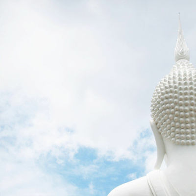 In The Flow With Lauri Albert