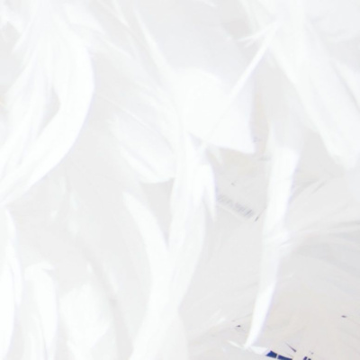 In The Flow With Lauri Albert