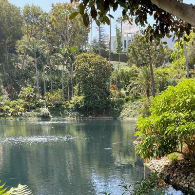 In The Flow With Lauri Albert