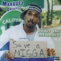 Under the Influence Audiobook