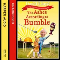 Ashes According to Bumble Audiobook