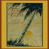By The Turtles of Tasman Audiobook