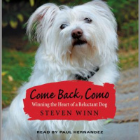 Come Back, Como Audiobook